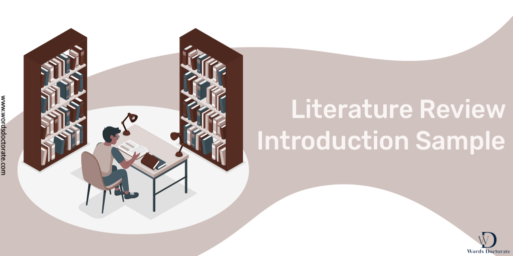 Write a Literature Review Introduction Sample - Your Example
